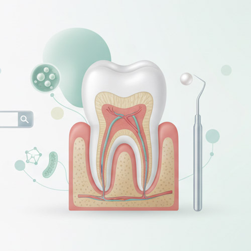 Пародонтология