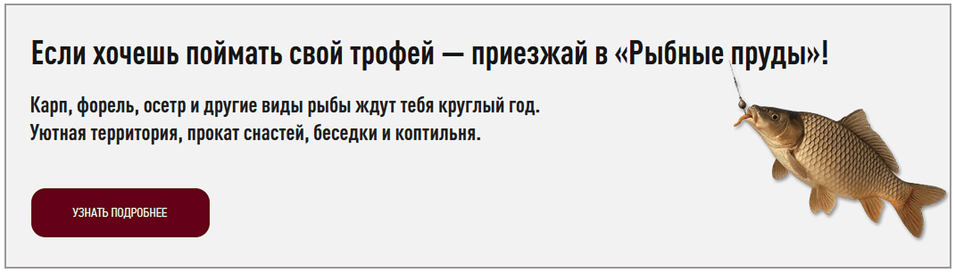 Как ловить карпа на платных прудах Как ловить карпа на платных прудах